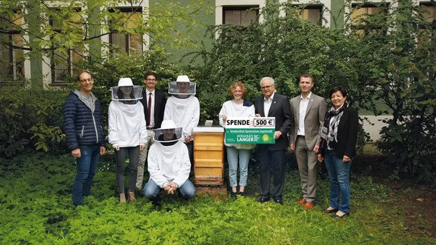 Bienen und Bildung